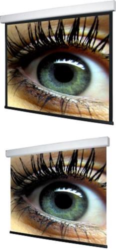 WS S NewMot Rückpro