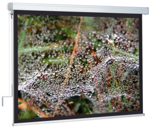 WS P ClassicScreen-Kurbel