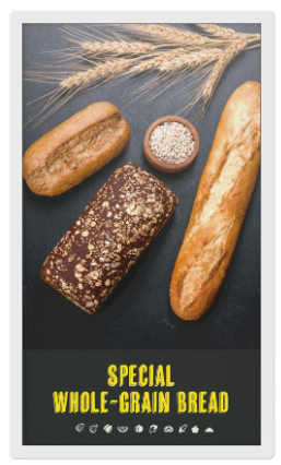 SHARP ePaper Display 25 EP-C251